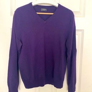 Express Merino Wool V-Neck Sweater